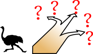 Uncertainty avoidance.png